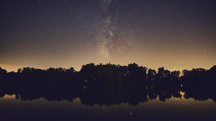 silhouette of trees near body of water, Milky Way, stars, nature, HD wallpaper
