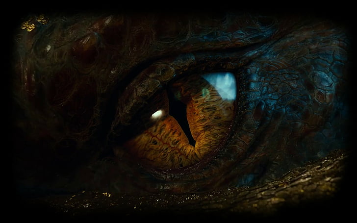 battle, dragons, eyes, hobbit, lord, middle earth, rings, smaug, HD wallpaper