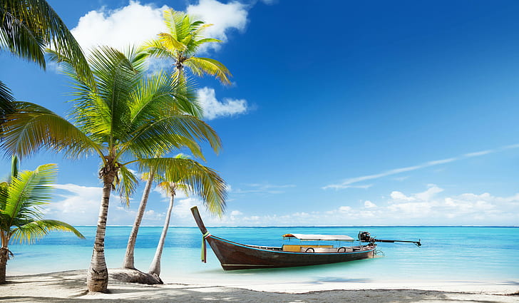 brown boat, landscape, tropical, beach, palm trees, water, sea, HD wallpaper