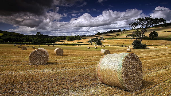 Summer, farm field, hay, clouds, HD wallpaper