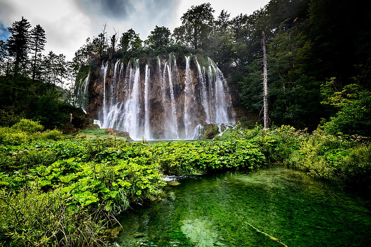 green trees, forest, rock, lake, waterfall, Croatia, Plitvice Lakes National Park, HD wallpaper