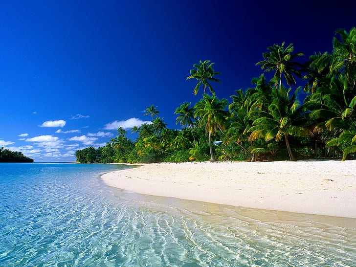 france, polynesia, tahiti Beach, tropical Beach, HD wallpaper