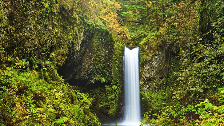 Hd Wallpaper Waterfalls Cliff Multnomah Falls Nature Oregon Rock