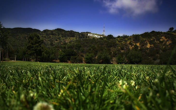 Grass Hollywood Sign Green HD, hollywood sign, nature