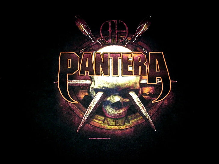 Band (Music), Pantera, Heavy Metal, Thrash Metal, HD wallpaper