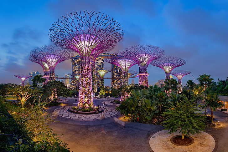 purple electric-powered trees, night, design, lights, Park, palm trees, HD wallpaper