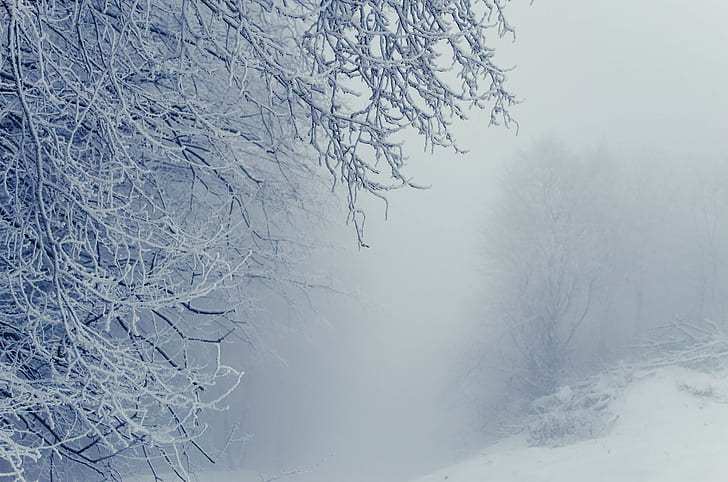 snow, winter, Icy day, HD wallpaper