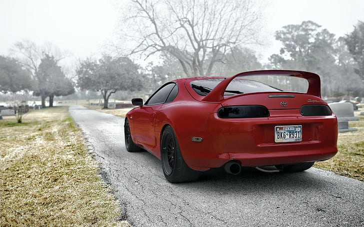 Red Toyota Supra, red tail of trees, Cars s HD, HD wallpaper