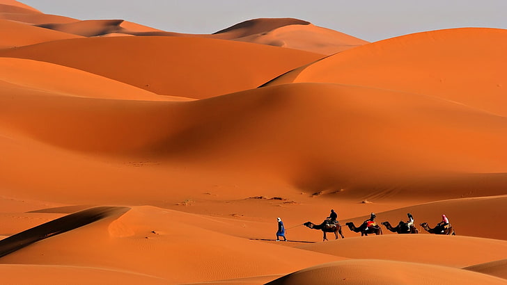 sand dunes, caravan, desert, camels, heat, way, sahara Desert