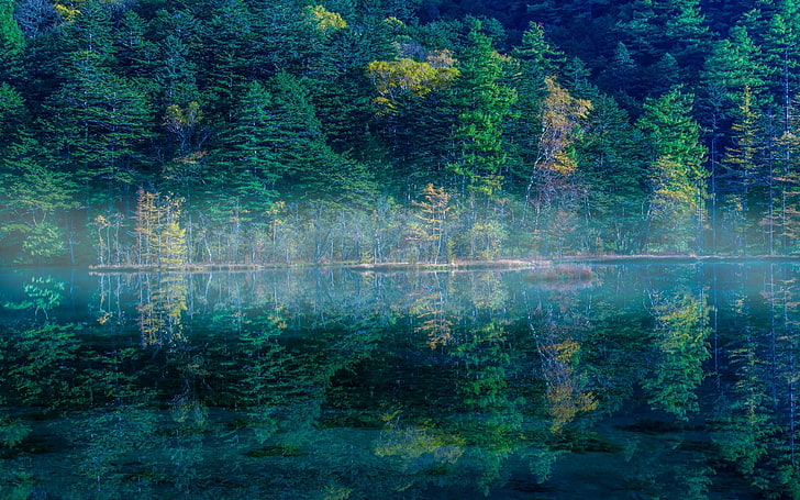 nature, landscape, lake, reflection, mist, water, morning, Japan, HD wallpaper