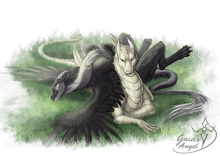 white and black dragon illustration, representation, no people, HD wallpaper