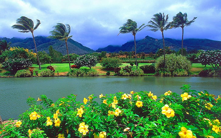 Maui Island Is The Second Largest Island In The Hawaiian Islands Yellow Flower Lake Tree Palm Mountain Tropical Nature Landscape 1920×1200