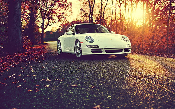 white sports coupe, Porsche  Cayman, fall, sunset, white cars