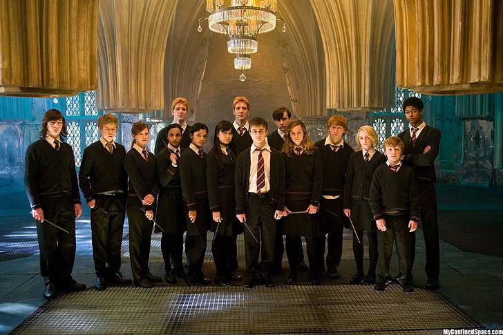 Harry Potter, Harry Potter and the Order of the Phoenix, group of people