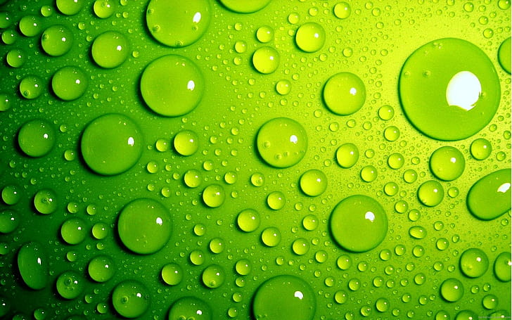 Beads of condensation on a beer, water droplets, fresh, green