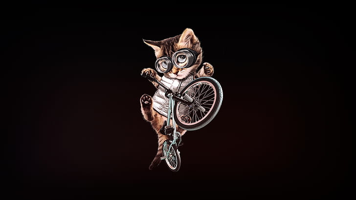 Minimalism, Kitty, Glasses, Cat, Style, Bike, Art, BMX, Kitten