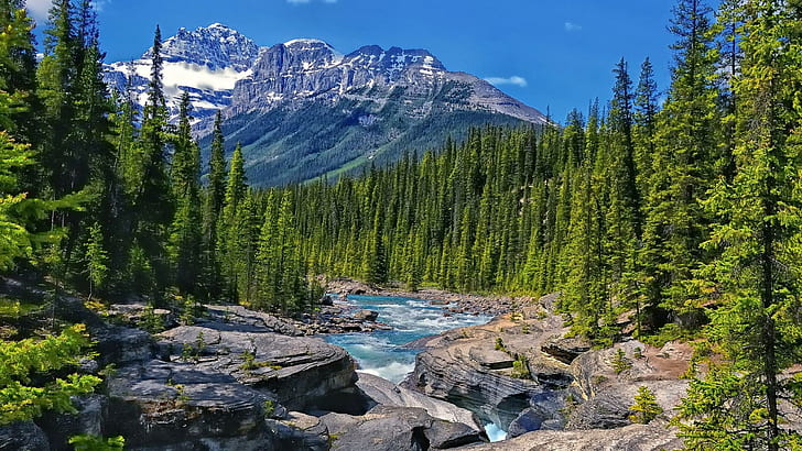 National Park Banff Alberta Canada River Bow Lak Valley Rocky Mountains Snow Stone Pine Forest Landscape Wallpaper For Desktop 2560×1440, HD wallpaper