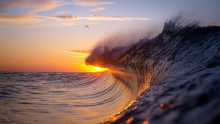 wave, sea, sea wave, sunset, HD wallpaper