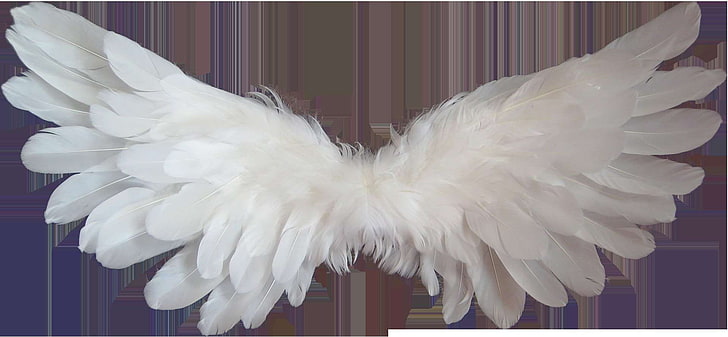 angel, angel wings, angelic, feather, heaven, light, love, png, HD wallpaper