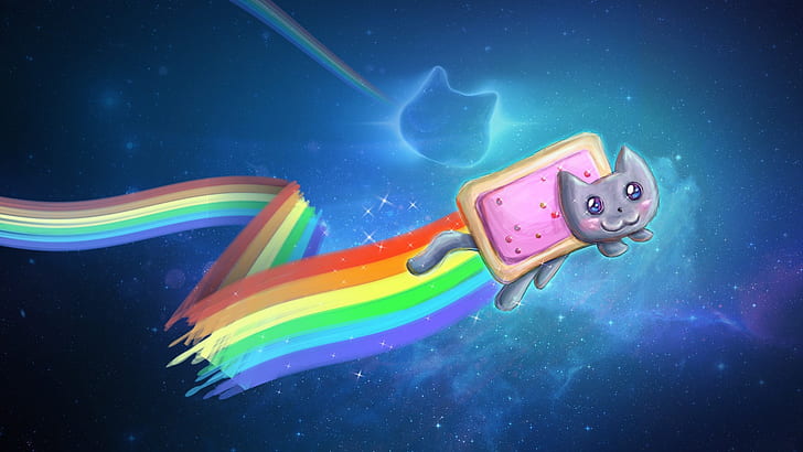 Funny Memes  Cosmic Cat  Space Background Wallpaper Download  MobCup