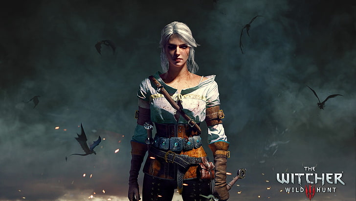 Witcher Witcher 3 Game HD wallpaper  Pxfuel