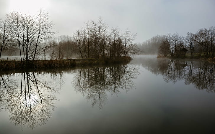 calm body of water during daytime, Morning, Monologue, fog, reflection