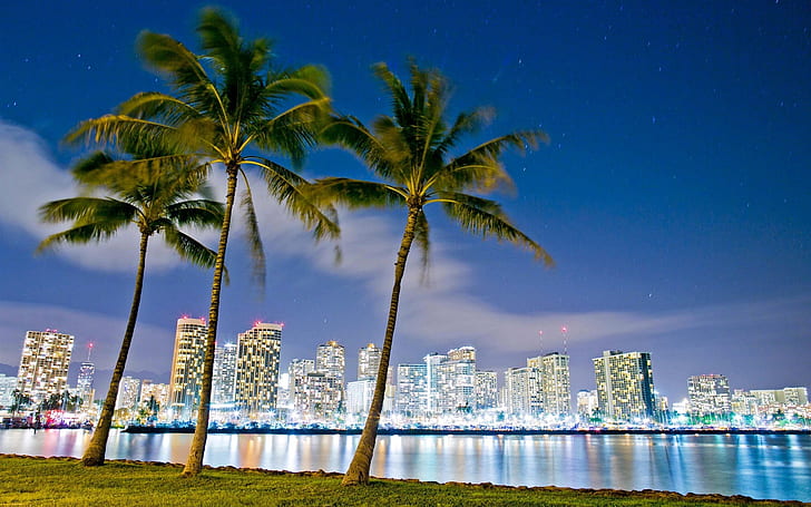 Hawaii, Honolulu, Beach Park, buildings, night, lights, HD wallpaper