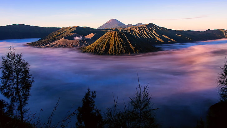 green trees, landscape, mist, volcano, Mount Bromo, Indonesia, HD wallpaper