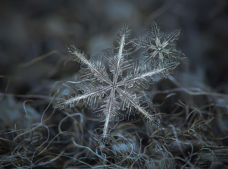 Snowflakes Macro, Aero, Blue, Dark, Nature, Beautiful, Winter