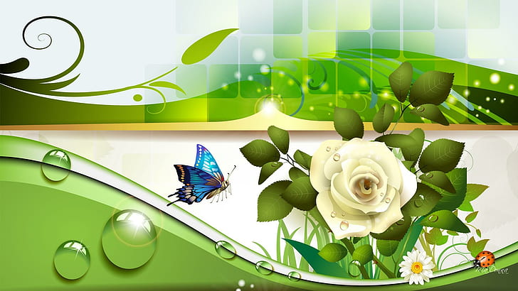 Beauty Of The White Rose, fleur, papillon, leaves, butterfly