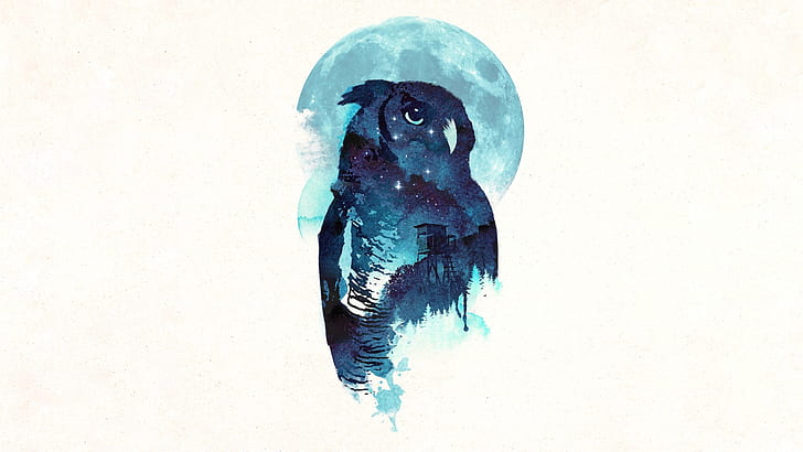 Owl, Midnight, Robert Farkas, HD wallpaper