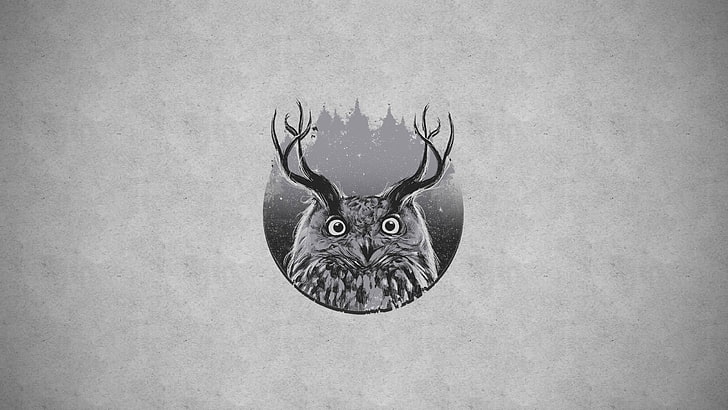 black and gray owl illustration, horns, creativity, wall - building feature, HD wallpaper