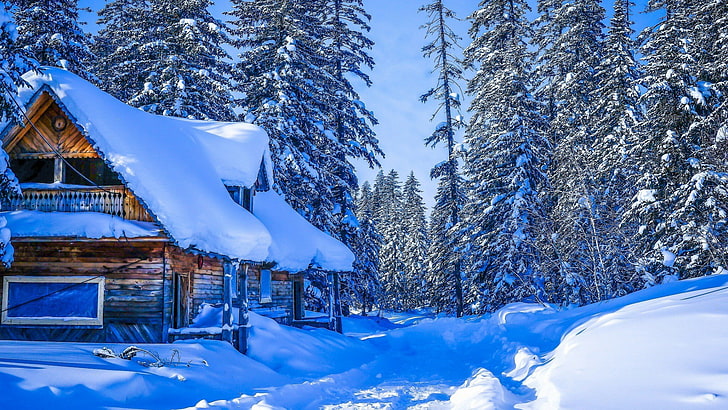 winter, snow, log cabin, nature, tree, house, sky, snowy, fir, HD wallpaper