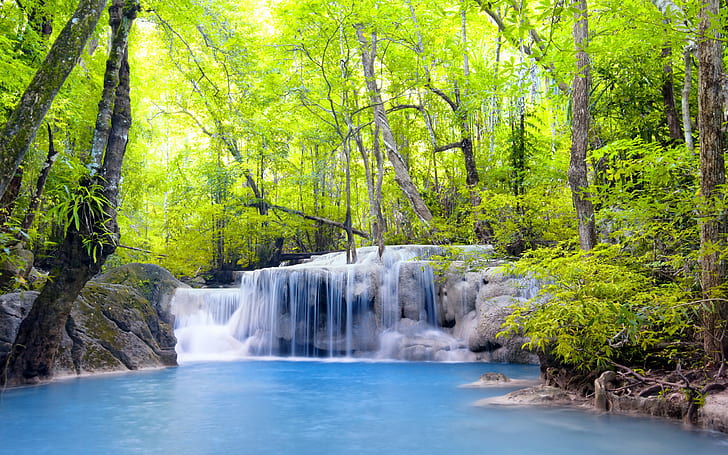 Trees, waterfalls, forest, river, summer, green leafed tree, HD wallpaper