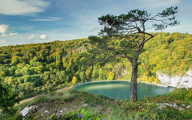 Germany, Bavaria, beautiful landscape, trees, river, HD wallpaper