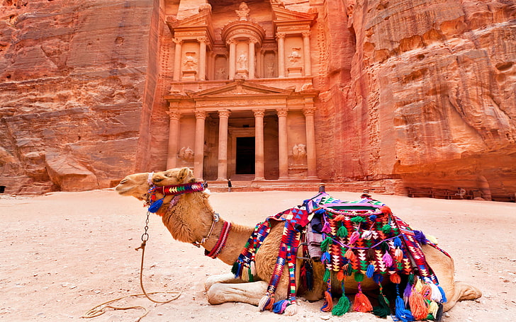 Camilla In Front Of The Temple Petra Archaeological Site In The Southwestern Desert Of Jordan Photo Wallpaper Hd For Mobile Phone 3840×2400