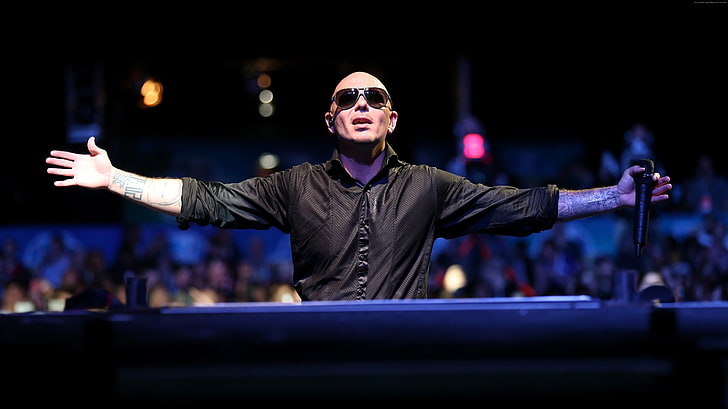 rapper, Top music artist and bands, singer, Pitbull, arts culture and entertainment, HD wallpaper