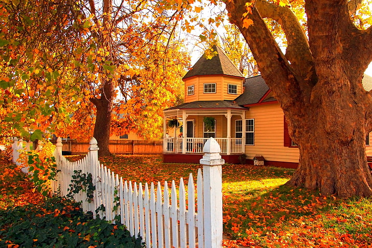 white wooden fence and beige 2-storey house, road, autumn, forest, HD wallpaper