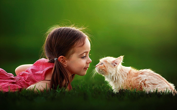 HD wallpaper: Photography, Child, Cat, Cute, Girl, Grass, Little Girl |  Wallpaper Flare
