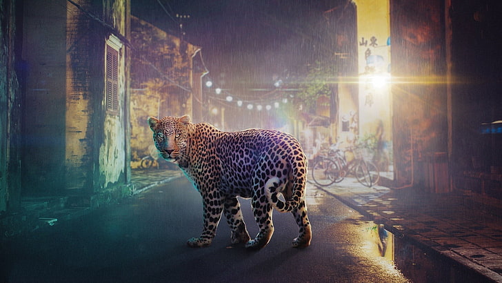 leopard (animal), digital art, animal themes, mammal, one animal