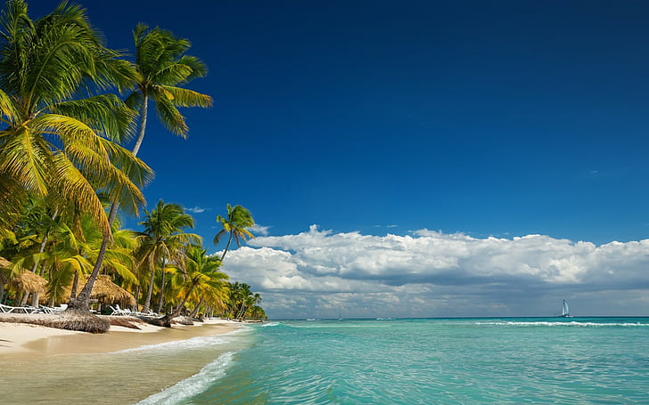 landscape, nature, island, beach, palm trees, sea, summer, clouds, HD wallpaper
