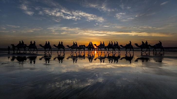 silhouette of trees near body of water painting, camels, sky
