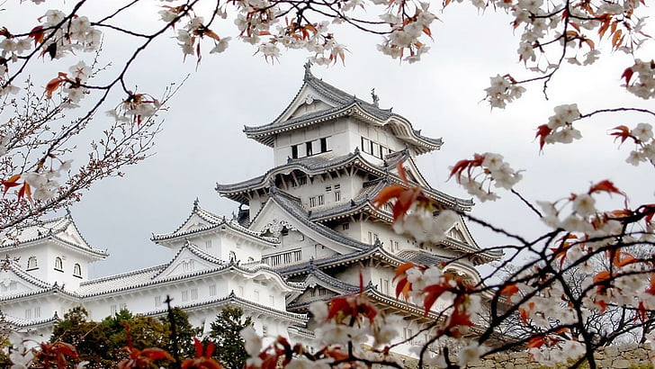 himeji castle, white heron castle, cherry blossom, spring