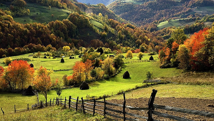 green grass field, nature, landscape, trees, forest, mountains, HD wallpaper