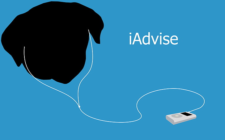 Advice Dog, minimalism, simple background, blue, communication, HD wallpaper