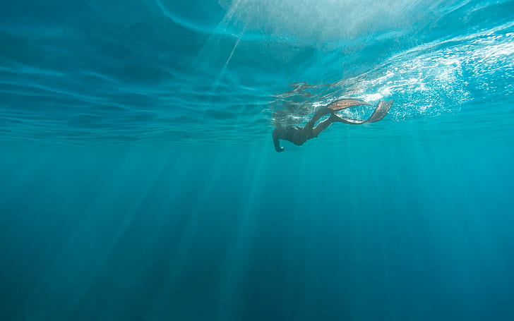 underwater, diving, divers, people, in water, HD wallpaper