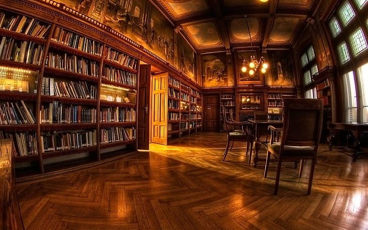 interior, interior design, library, bookshelf, indoors, publication