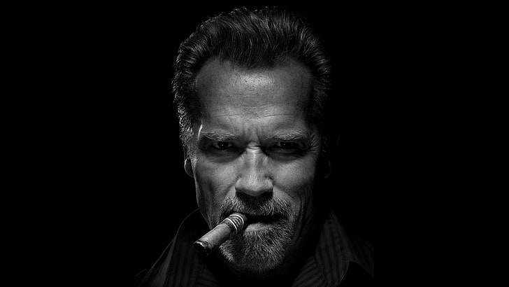 Arnold Schwerniger, look, cigar, Arnold Schwarzenegger, headshot, HD wallpaper