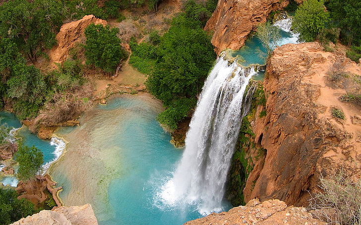 havasu falls, water, beauty in nature, scenics - nature, plant, HD wallpaper