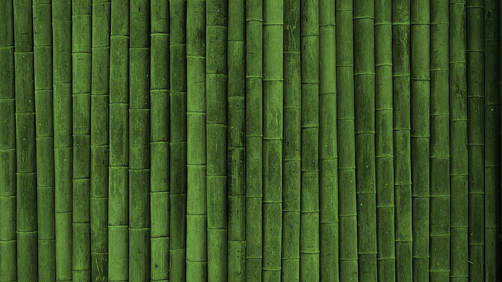 Bamboo 1080P, 2K, 4K, 5K HD wallpapers free download | Wallpaper Flare